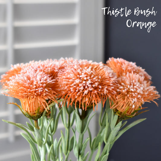 Thistle Bush - Orange