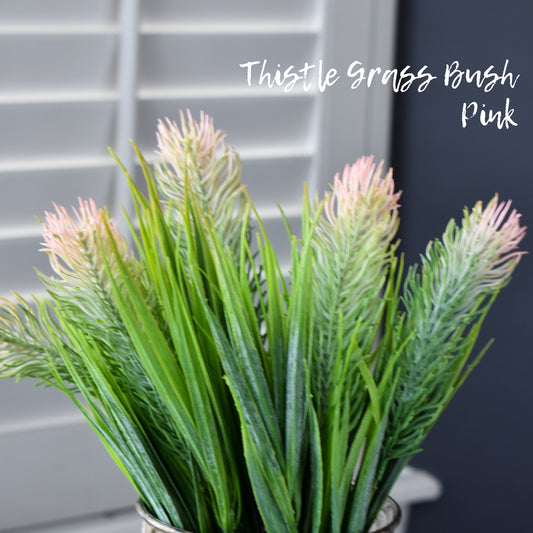 Thistle Grass Bush - Pink Tip