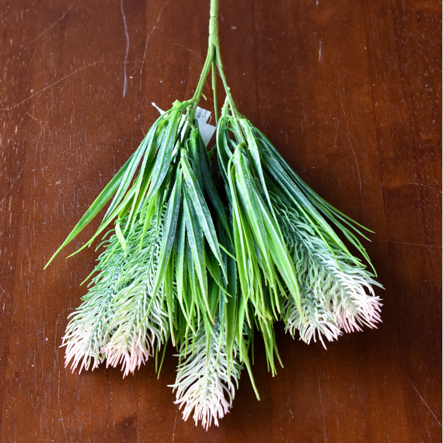 Thistle Grass Bush - Pink Tip