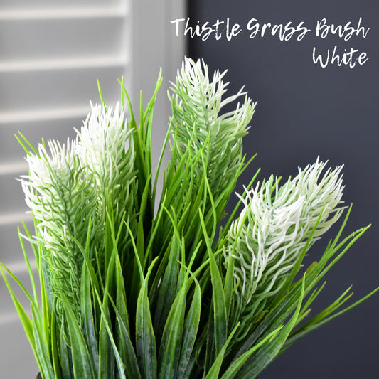 Thistle Grass Bush - White