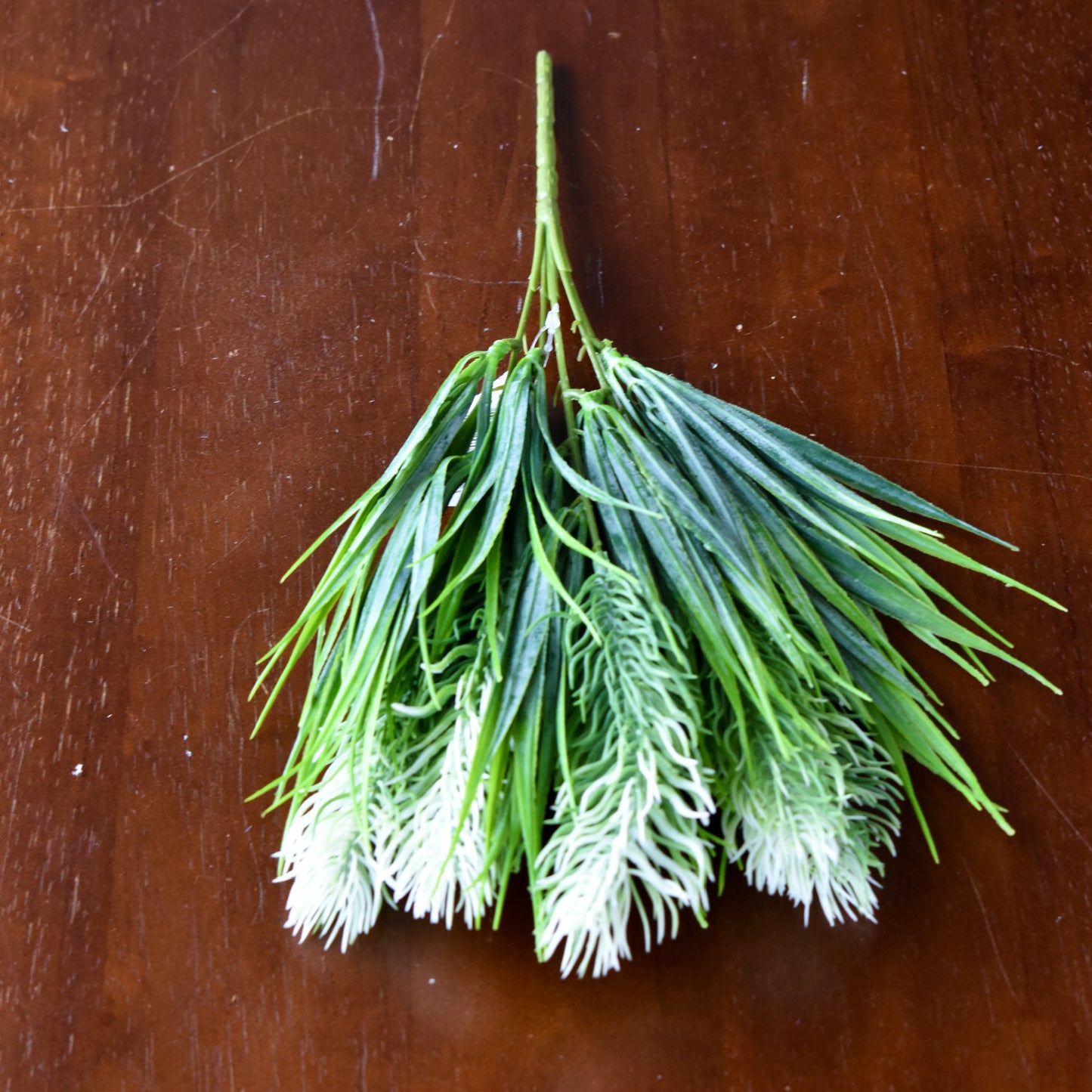 Thistle Grass Bush - White