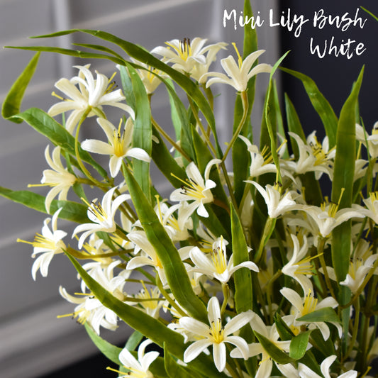 White Mini Lily Bush - White