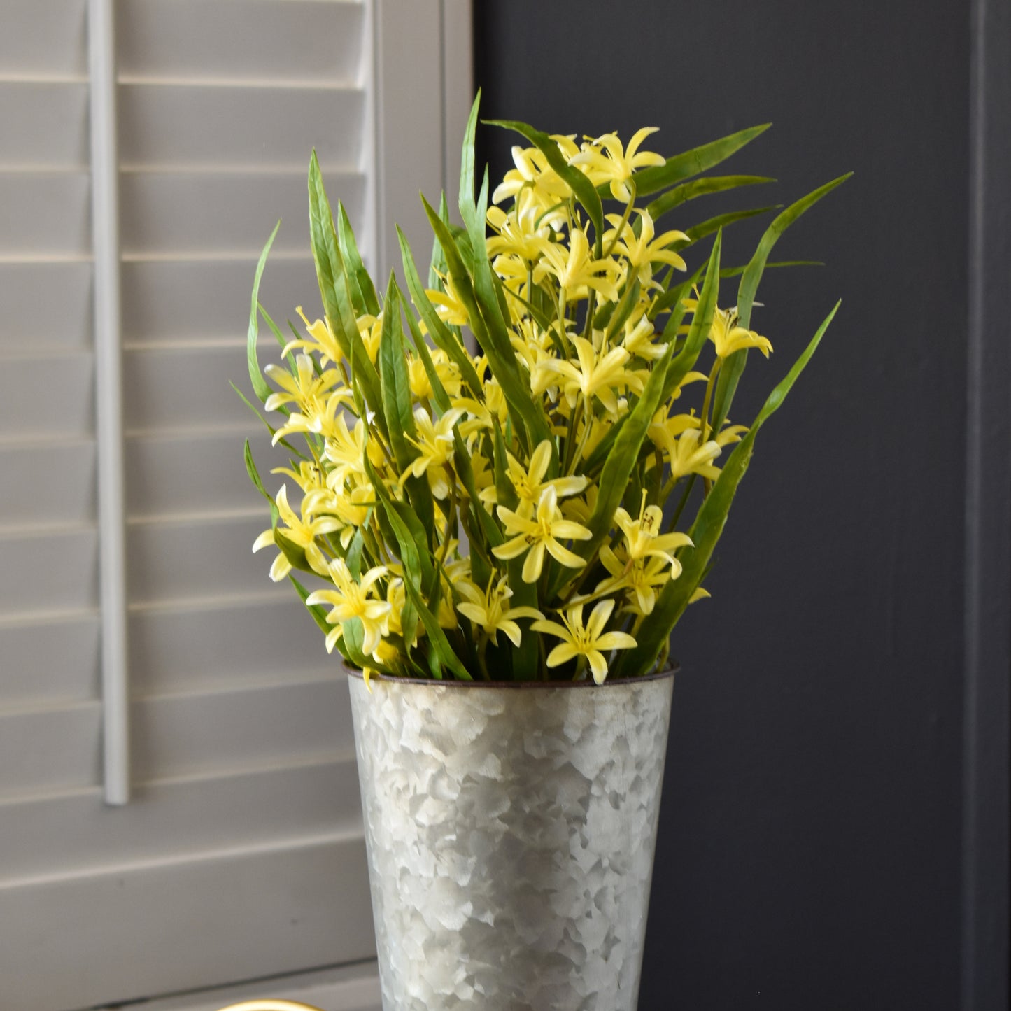 Lily Mini Bush - Yellow